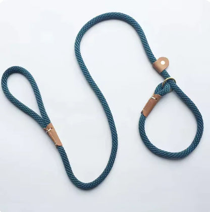 Adjustable Slip Lead Leash – Comfortable Control for All Dog Sizes