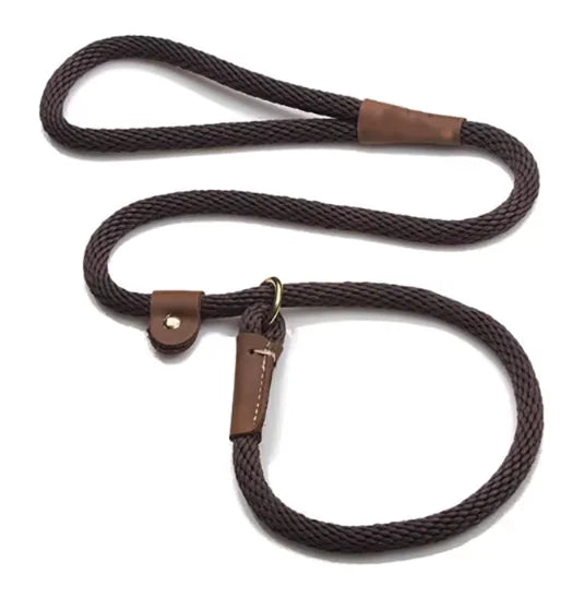 Adjustable Slip Lead Leash – Comfortable Control for All Dog Sizes