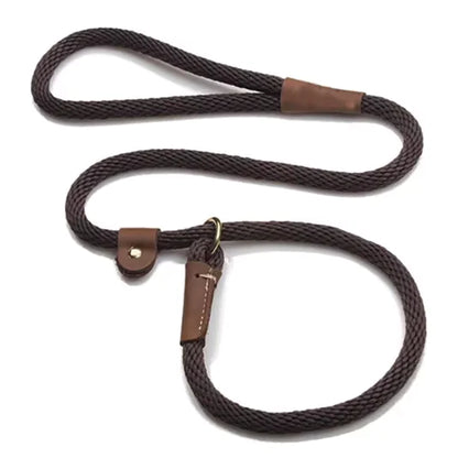 Adjustable Slip Lead Leash – Comfortable Control for All Dog Sizes